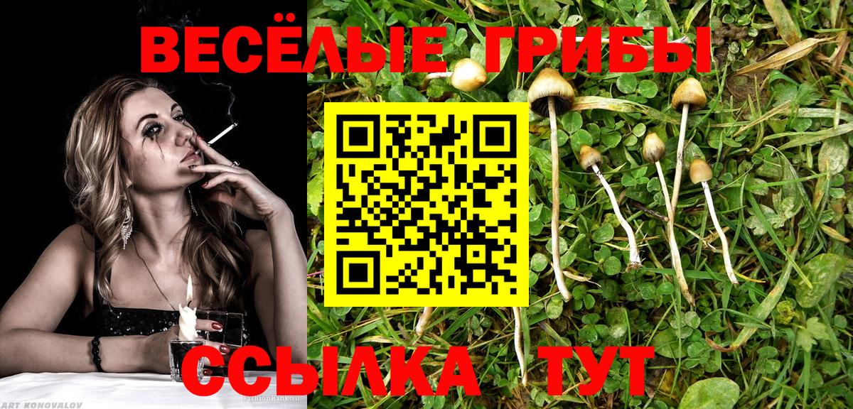 Подольск  Галлюциногенные грибы ЛСД  Вход с VPN 